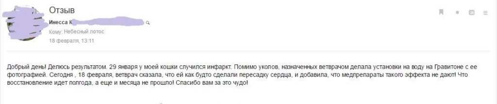 отзыв36.13.jpeg